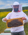 Dimitrios Kontis hält Bienenwabe mit Bienen dran
