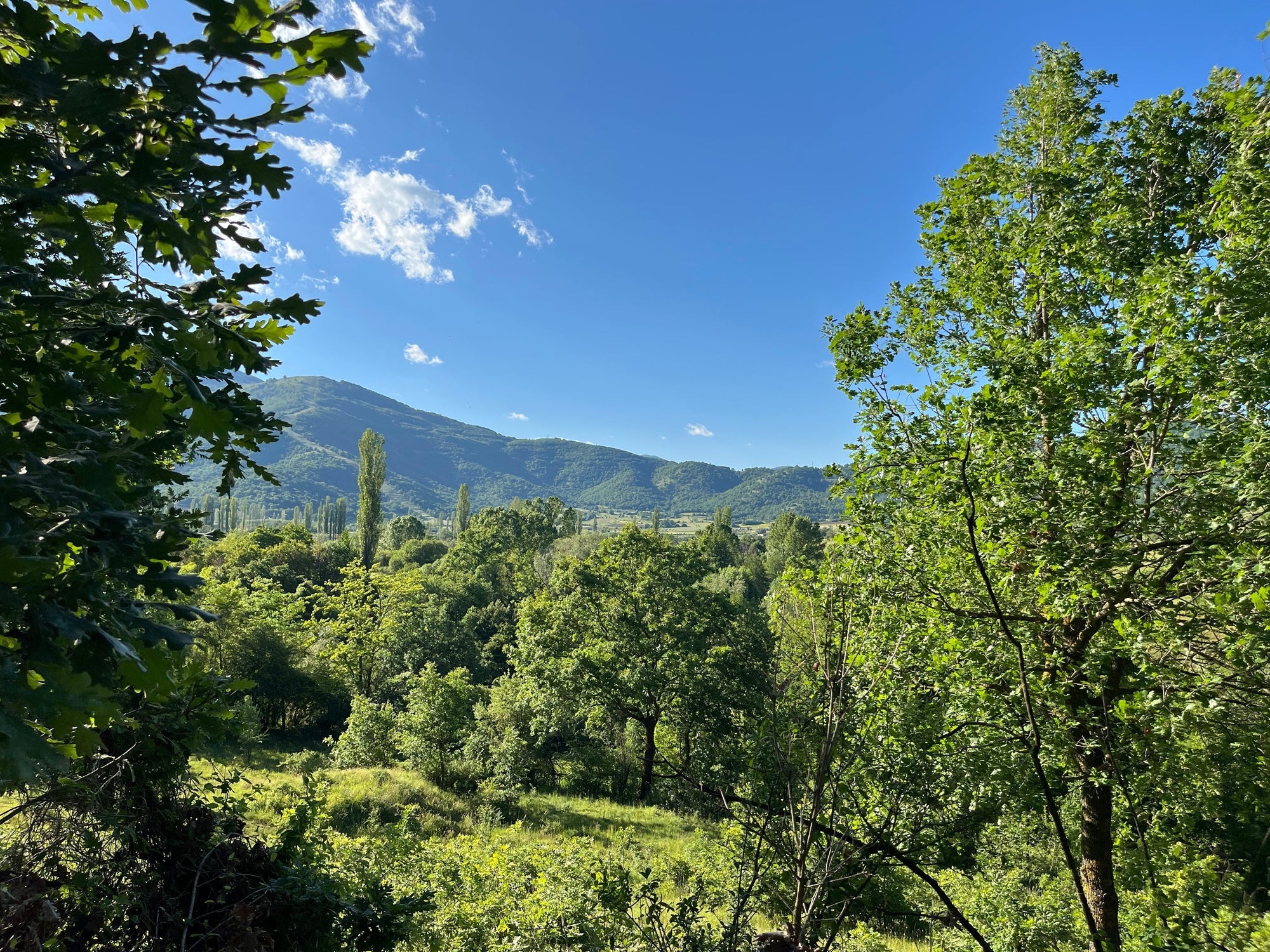 Florina - wo unser Ursprung schmeckt: