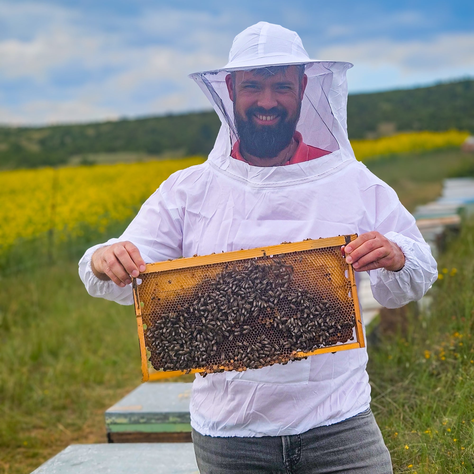 Dimitrios Kontis hält Bienenwabe mit Bienen dran
