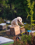 Imker arbeitet an Bienenkästen in Waldlandschaft in Griechenland