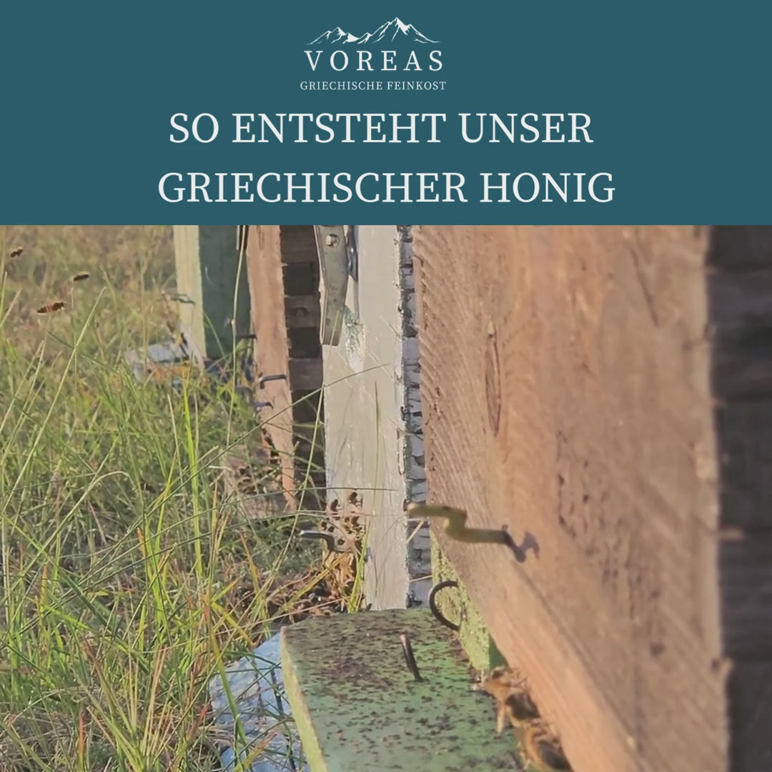 so entsteht unser Griechischer Eichenhonig Video Bienenkästen Bienenwaben